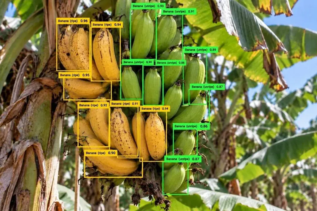 Agricultural Equipment Annotation and Yield & Maturity Annotation