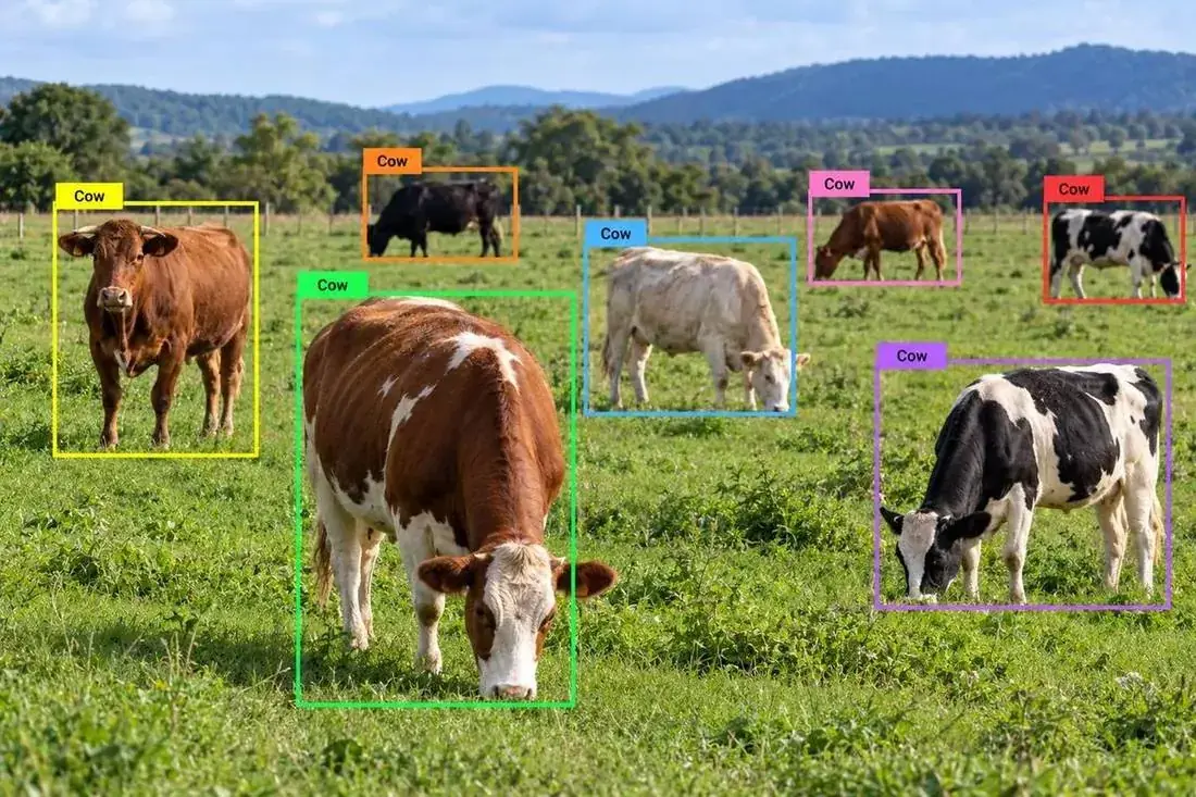 Agricultural Field & Land Segmentation and Livestock & Animal Annotation