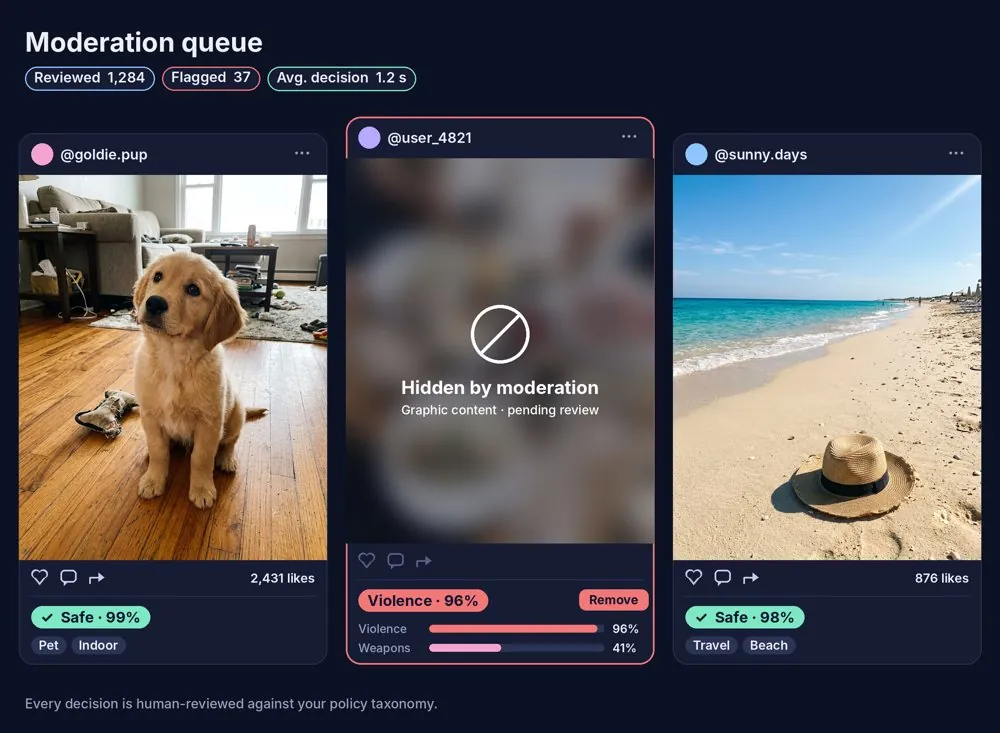 Content Moderation & Trust & Safety annotation example (content.png)