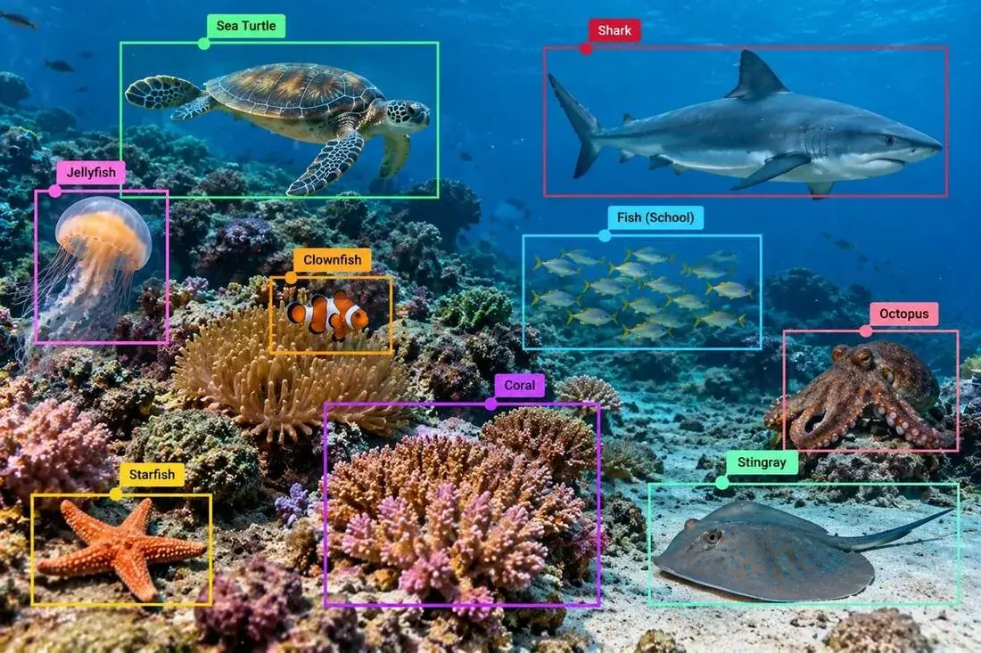 Marine Life & Species Annotation and Coral Reef & Habitat Annotation